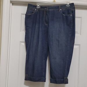 Talbots  woman petite curvy Hi -Rise blue jeggings